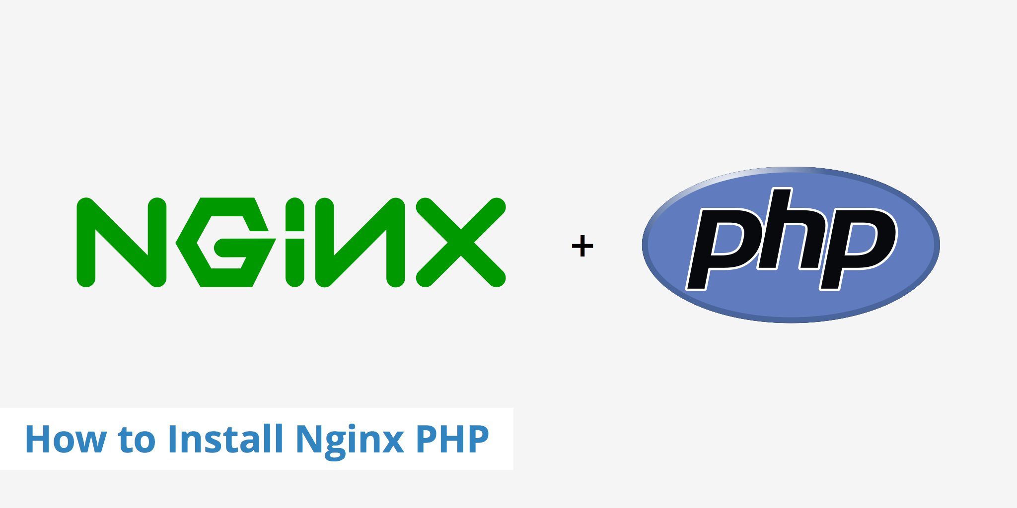 Nginx не отдает файлы