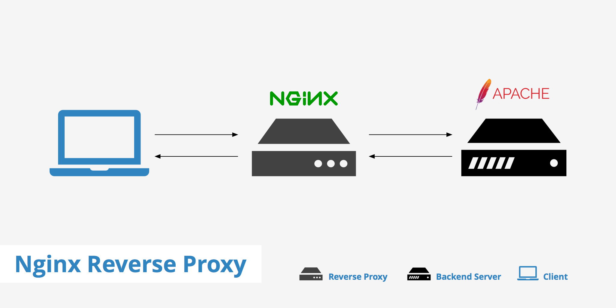 adguard home nginx reverse proxy