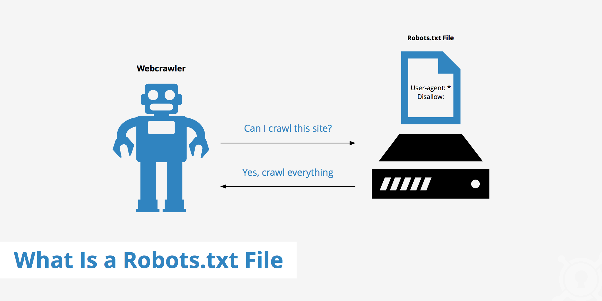 robots txt no index